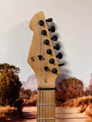 QUARKZMAN Set van 4 moeren en sluitringen voor gitaar, 3/8